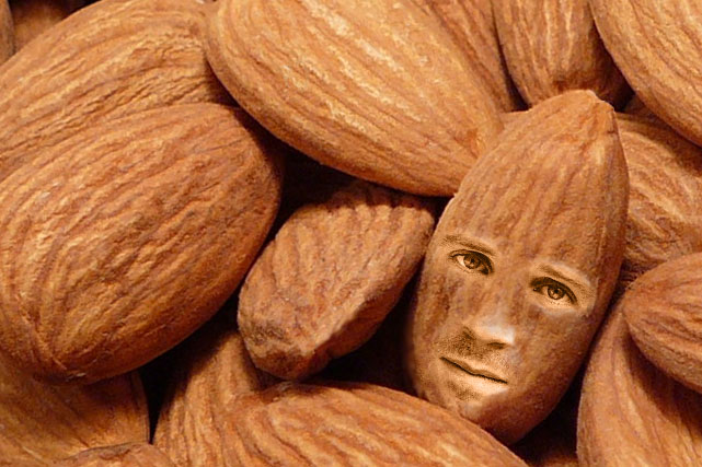 Ralph-as-an-almond.jpg